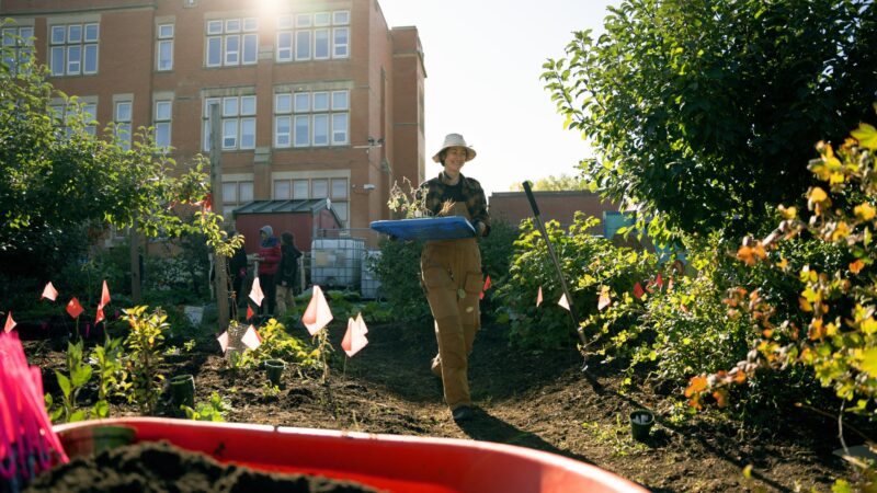 How a Dwindling Community Orchard Was Saved