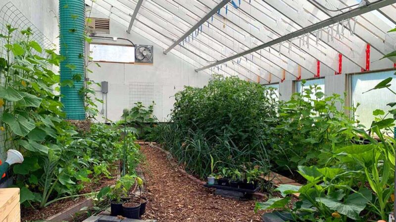 How a Passive Solar Greenhouse Powers Human Healing