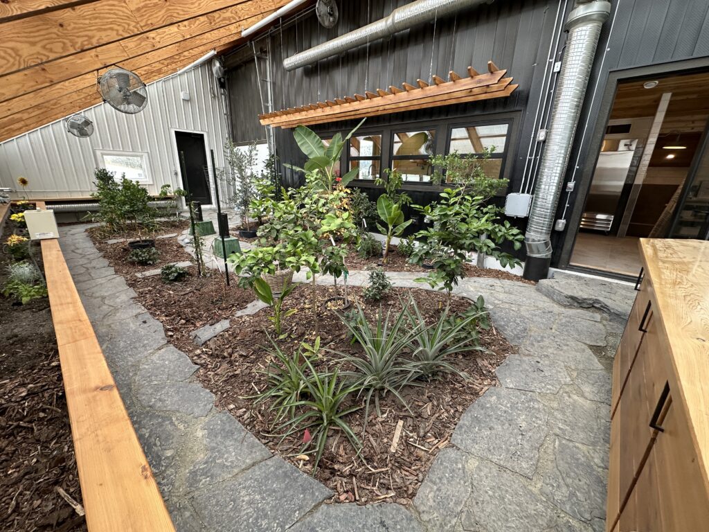 Plants inside a luxury greenhouse