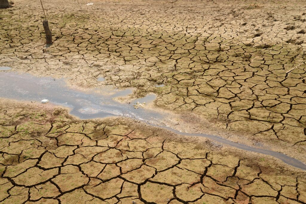 Drought stricken landscape