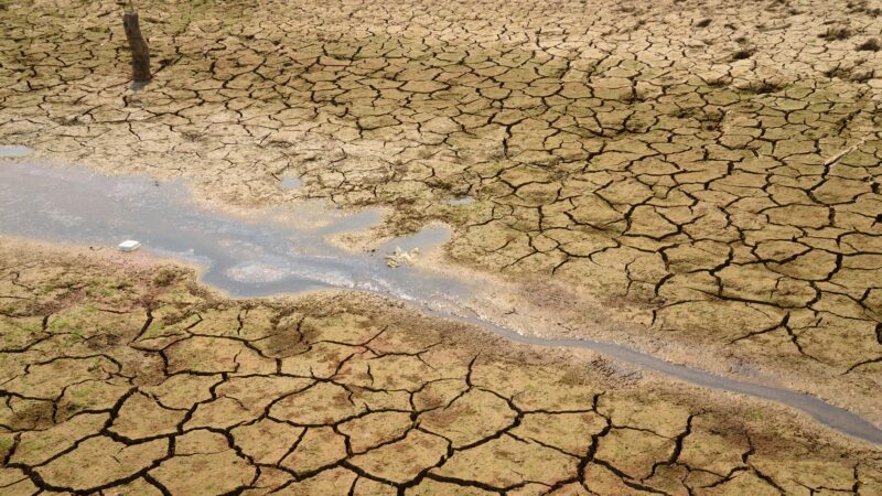 Drought stricken landscape