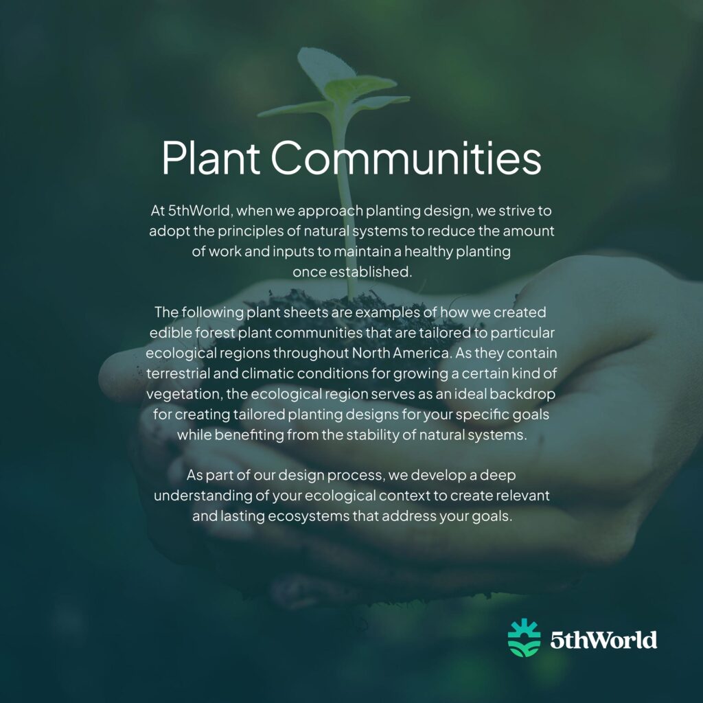Plant Communities 5th World Plant Communities 5th World