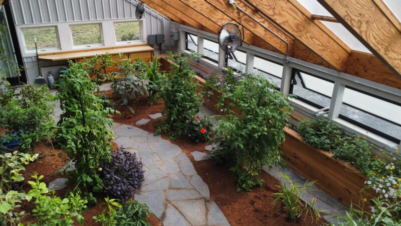 Design Your Dream Greenhouse and Discover What You Can Grow