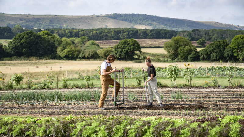 Regenerative Agriculture: A Complete Guide to Designing Profitable, Future-Ready Land Systems