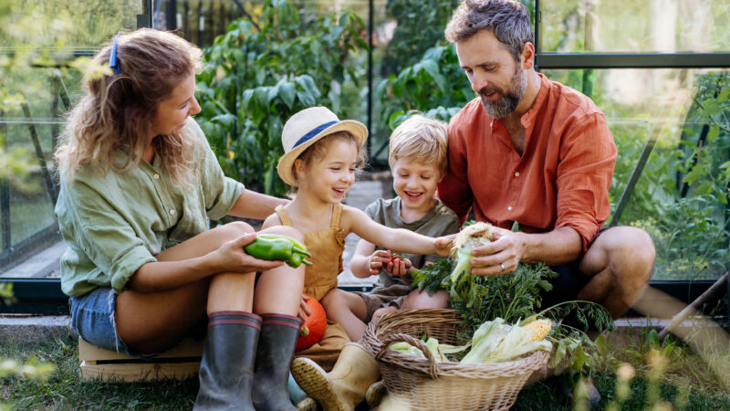 A farmer family with fresh harvest standing in a greenhouse