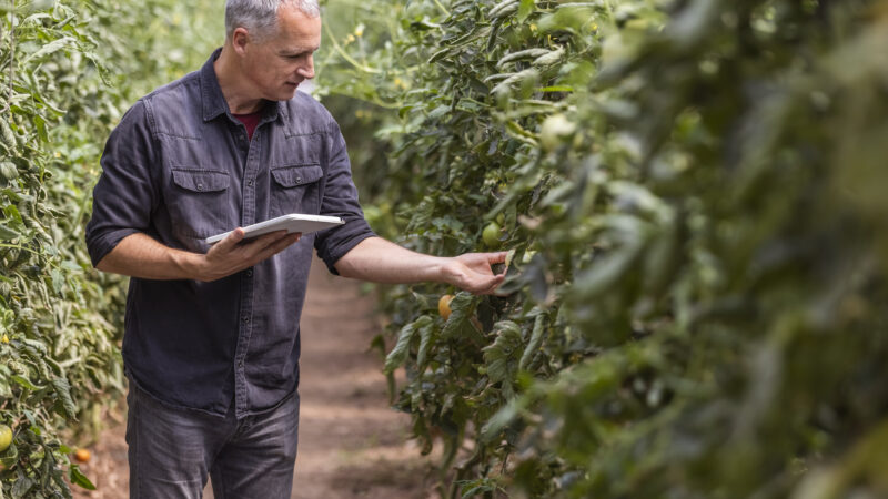 What Canada’s New National Food Security Strategy Gets Right—and What’s Needed