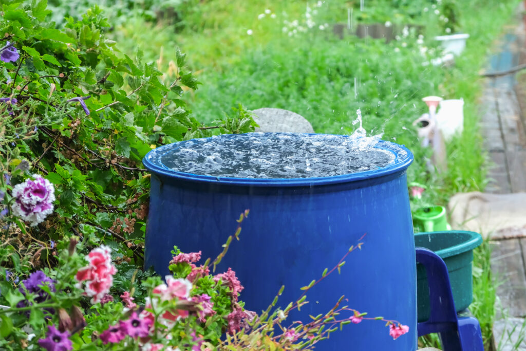 Rainwater collection and rainwater harvesting.