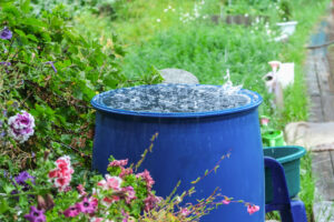 Rainwater collection and rainwater harvesting.