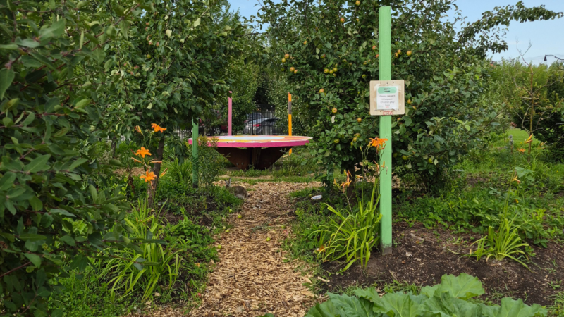 McCauley Orchard
